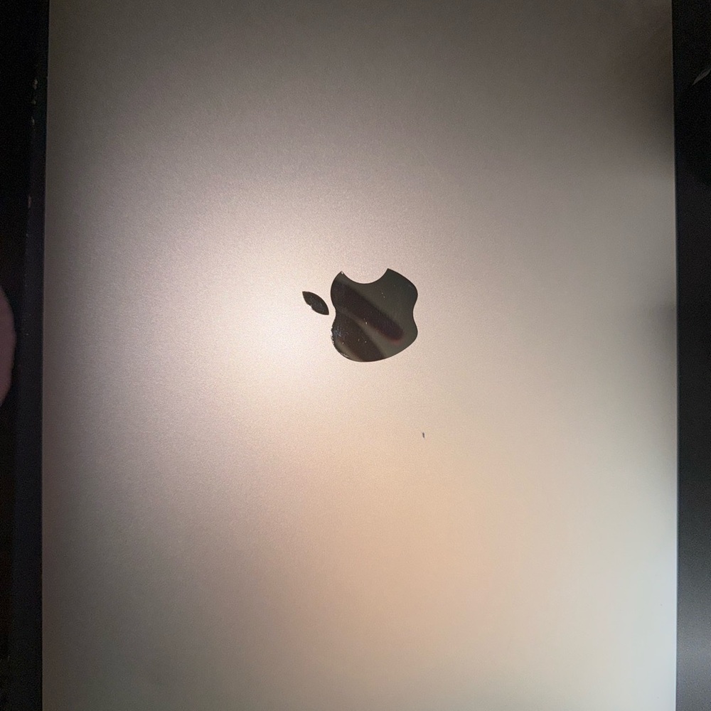 Apple Metallic Gray Laptop